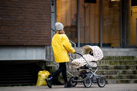 Dvigubo vežimėlio nuotrauka su kūdikiais