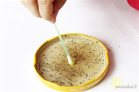 pipirai piene eksperimentas