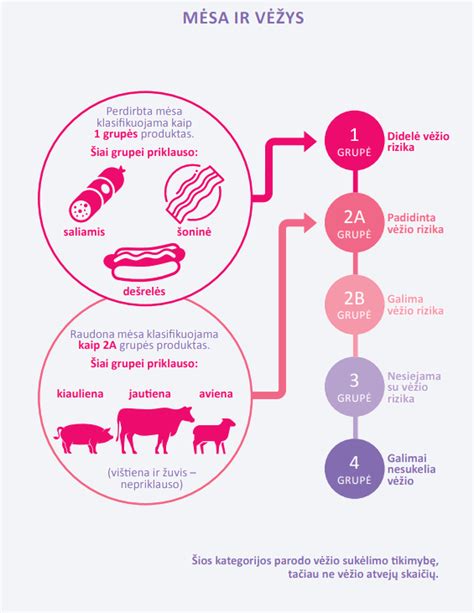 Mėsos porcijų rekomendacijos pagal amžių