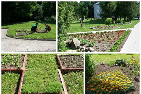 Schema kaip įrengti daržą kvadratiniame metre