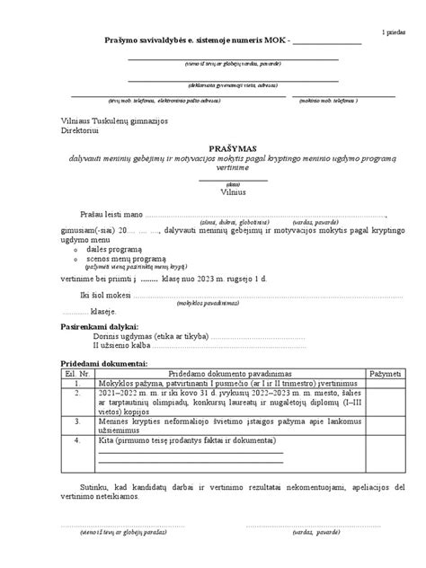 Pavyzdys, kaip atrodo NVŠ programos registracijos forma