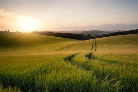 Motinystės išmokų sistema Lietuvoje