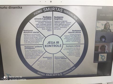 infografika apie smurto artimoje aplinkoje paplitimą