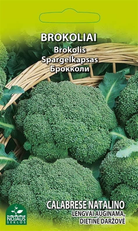 Daržovių sėklos ir sodinukai