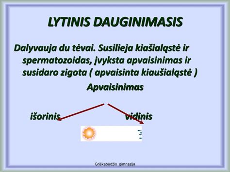 Zigotos dalijimasis ir vystymasis iki blastocistos
