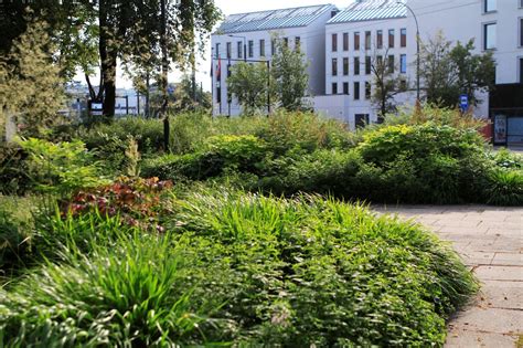 Natūralaus stiliaus gėlynas