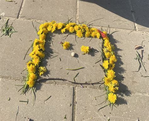 vaikai kuria kompoziciją iš gamtos medžiagų