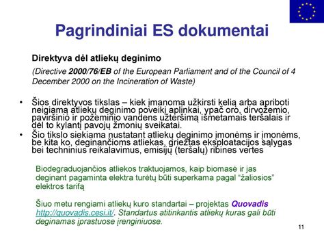 ES direktyvos 92/85/EEB pagrindiniai punktai
