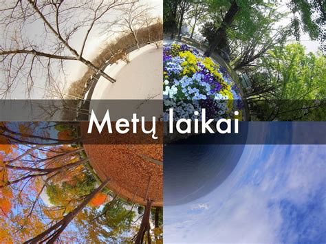 Metų laikai, pavaizduoti ratu, simbolizuojantys amžinąjį gamtos ciklą