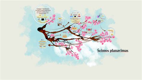 Schema kaip veikia Natūralus Šeimos Planavimas