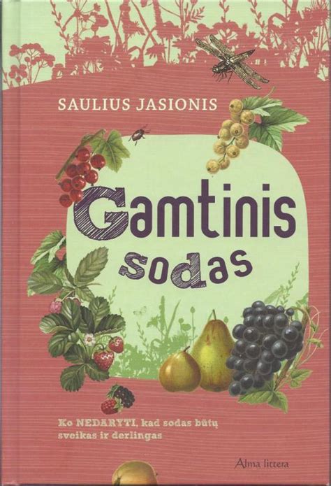 Saulius Jasionis pristato savo knygą
