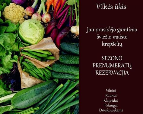 Schematinis gamtinio daržo principas