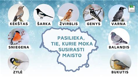 Simbolinis pavasario ir paukščių paveikslas