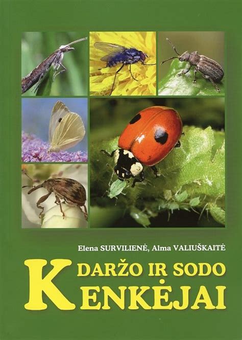 Daržo kenkėjai ir jų atpažinimas
