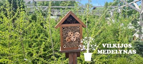 Vabzdžių viešbutis iš antrinių žaliavų