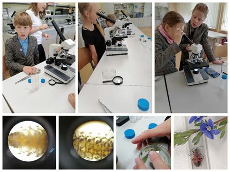 Vaikai tiria vabzdžius per mikroskopą