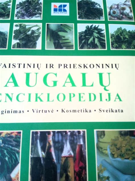 Edukacinė prieskoninių augalų lysvė