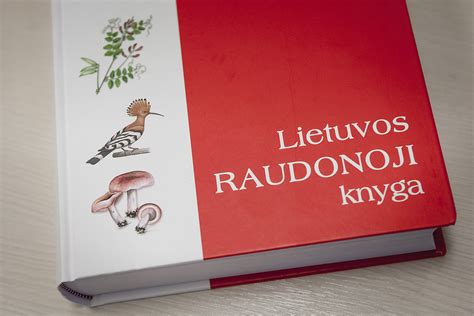 Grybų iliustracijos knygoje