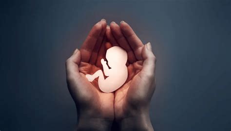 Grafikas, iliustruojantis chirurginio aborto eigą