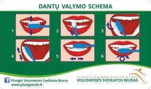 Dantų paviršių valymo schema