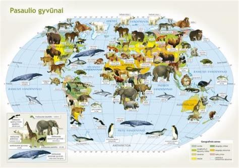 Gyvūnai ir augalai lietuviškose pasakose