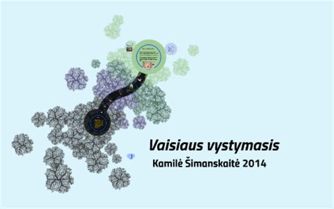 vaisiaus vystymasis pirmame trimestre