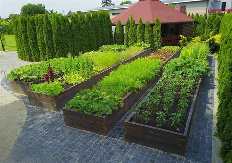 Įvairių tipų daržo lysvės: plokščia, pakelta, pagilinta, šiltlysvė