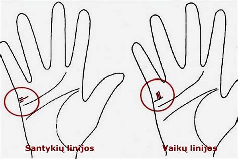 Vaikų linijos ant delno