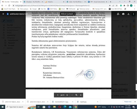 Advokato konsultacijos schema