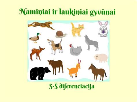Vaizdinė medžiaga, skirianti naminius ir laukinius gyvūnus