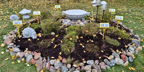 samanų oazė darželyje