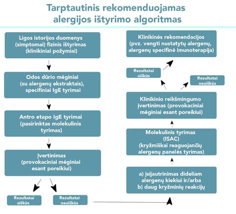 Schema, vaizduojanti skirtingus alergijos tyrimus