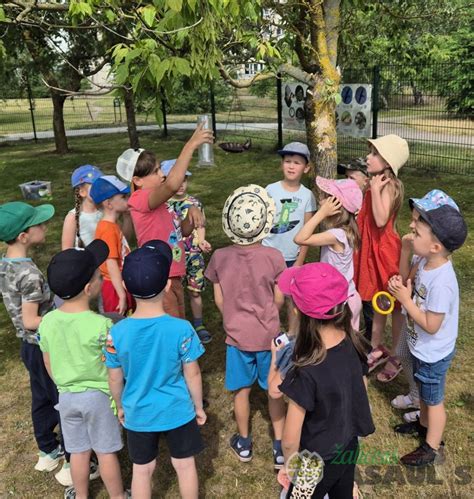 Gamta prie darželio