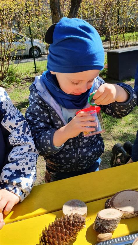 ikimokyklinukai tyrinėja gamtą