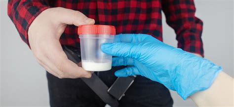 Spermos kokybės tyrimas