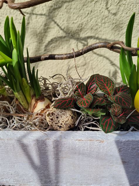 Augalų kompozicija su vazonais ir stoveliu