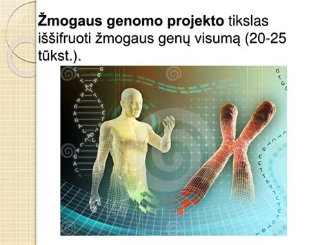 schematinis žmogaus genų perdavimas