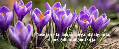 iliustracija apie pavasarį