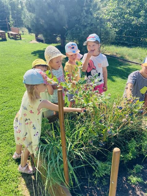 Privatus darželis Žirmūnuose su žaidimų aikštele