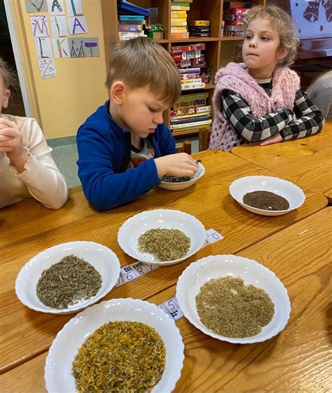 Darželis su erdviu kiemu ir gamtos apsuptimi