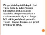 schematinis dizigotinių dvynių susidarymas