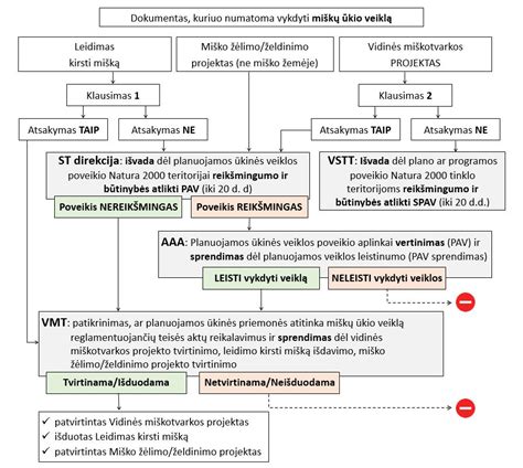 Schema, kaip infekcija patenka į kiaušides