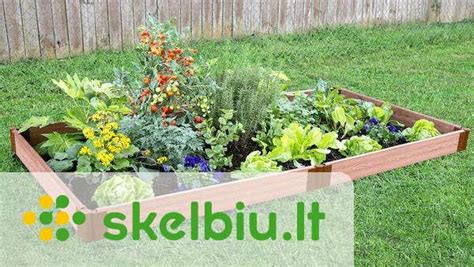 Rudeninis daržo lysvių kasimas