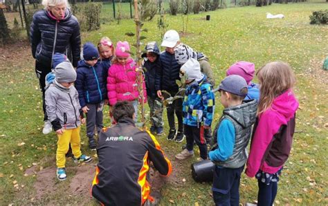 Vaizdinė medžiaga, kaip vaikai sodina augalus