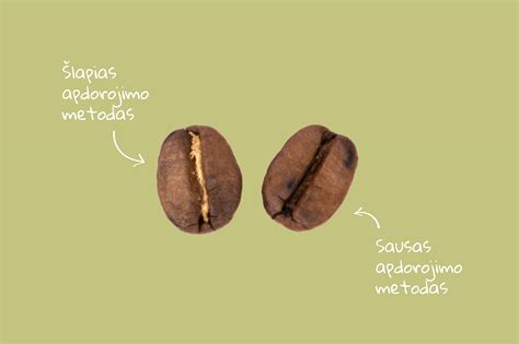 Infografika apie kavos pupelių apdorojimo procesą