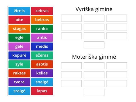 Palyginimas: tradicinė (vyriška) giminė vs. dvejopa giminė