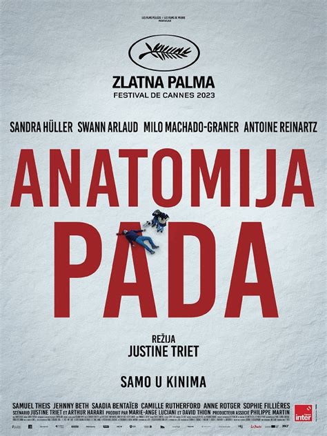 Kiaušidžių anatomija