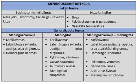 Schema, kaip plinta meningokokinė infekcija