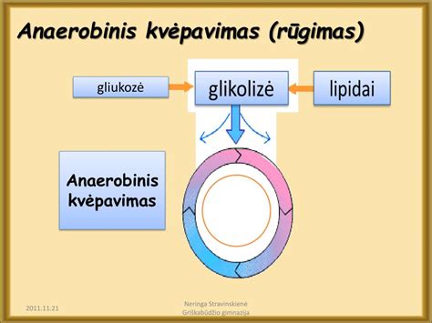 Gliukozės molekulės struktūra