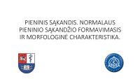 Sąkandžio formavimasis